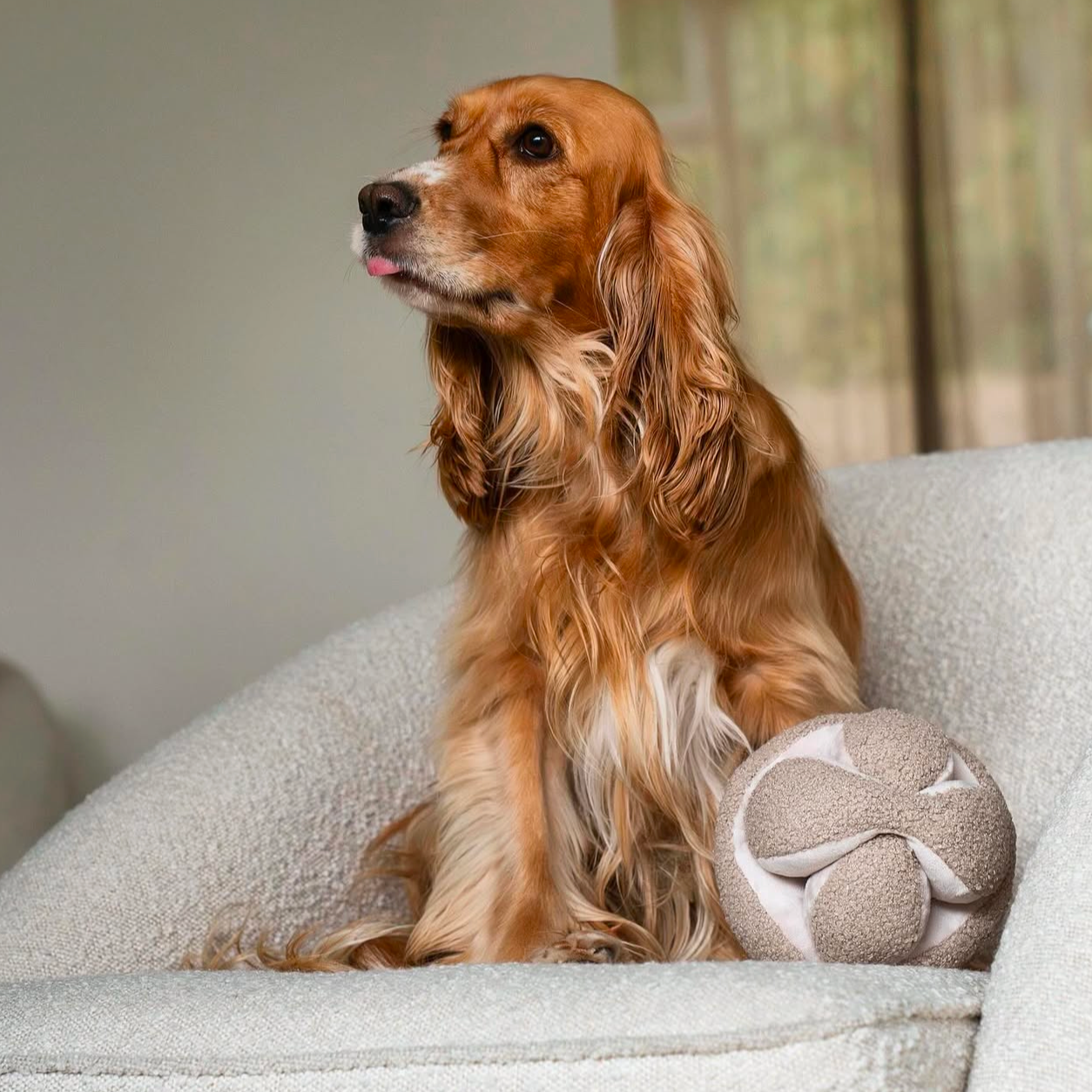 MONTI //Bereicherungsspielzeug