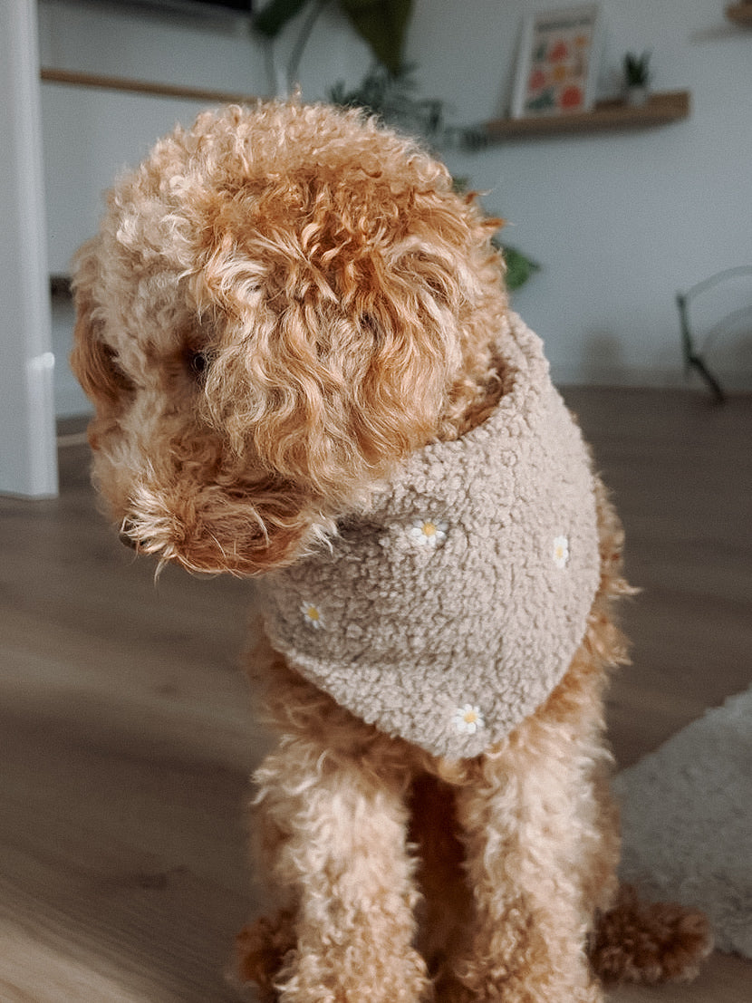 Teddy Halstuch "Flower"