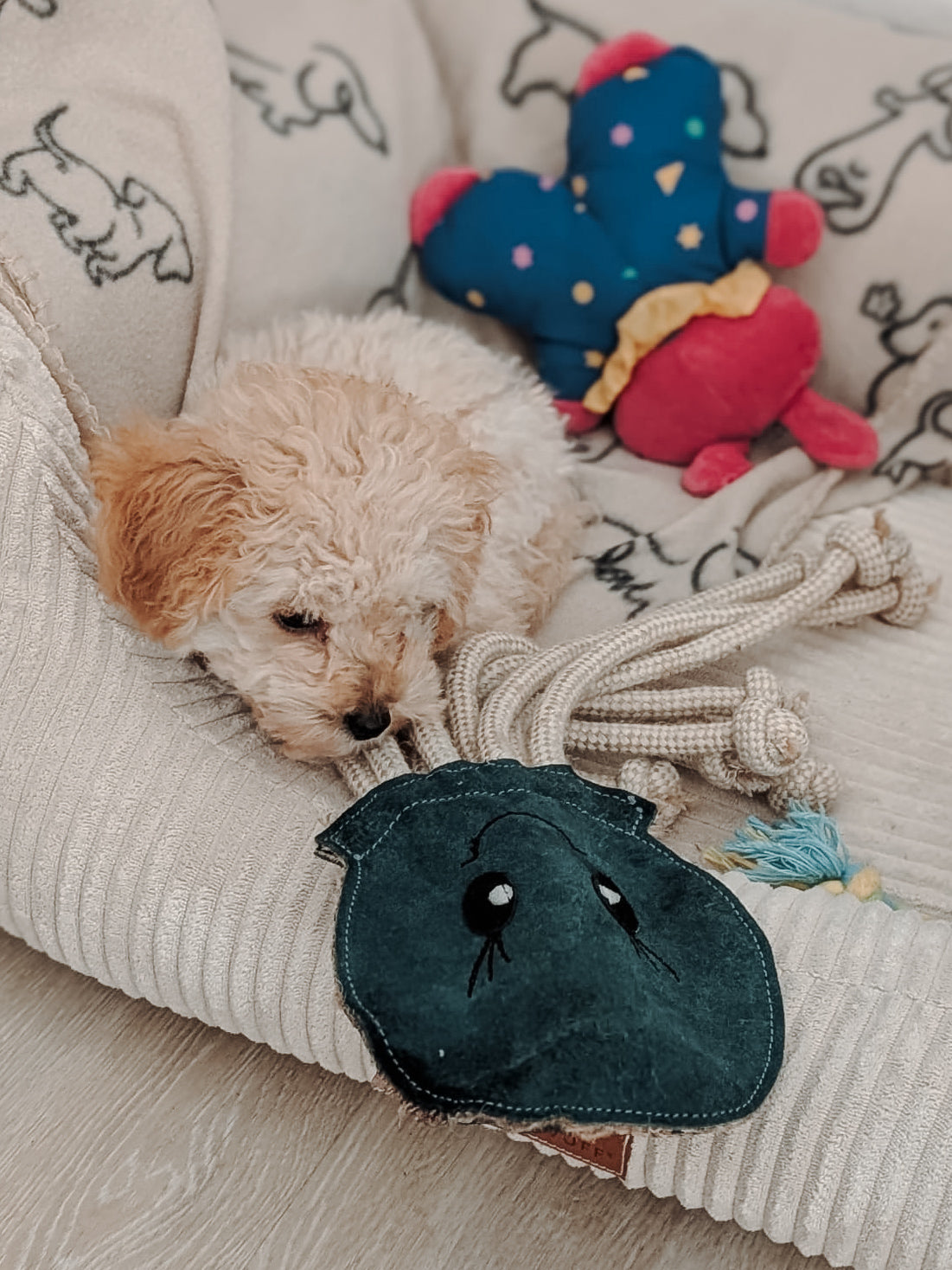 BUDDY. Hundespielzeug aus Leder "Krake"