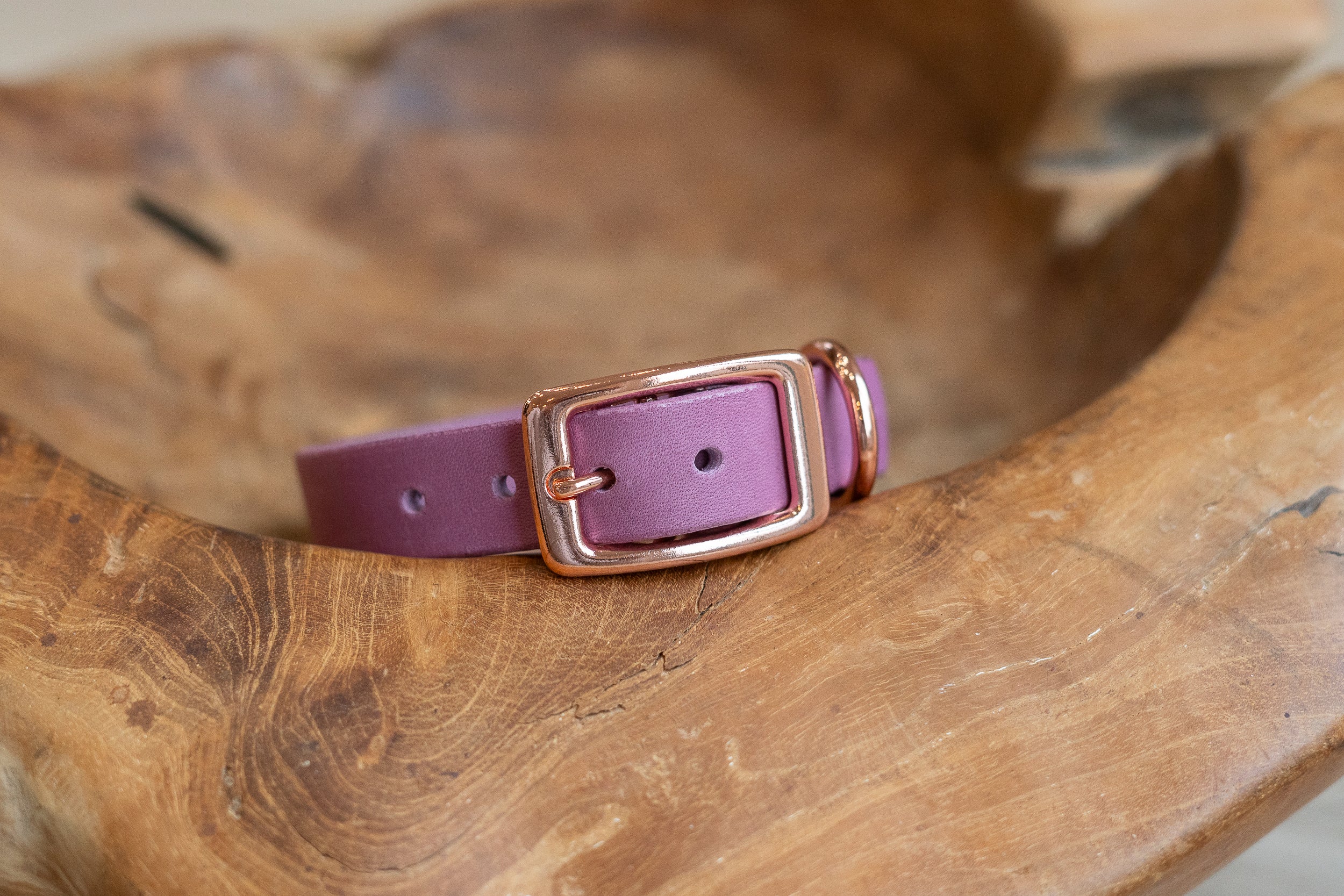 Fettleder Hundehalsband