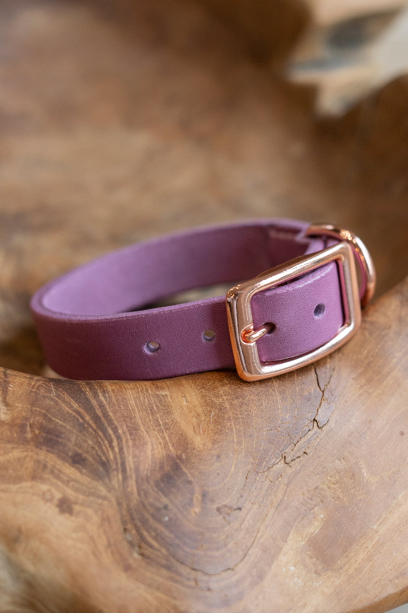 Fettleder Hundehalsband