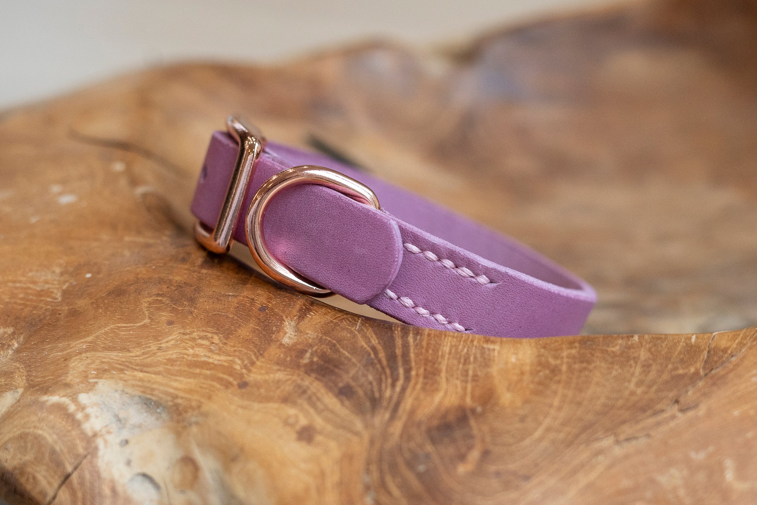 Fettleder Hundehalsband