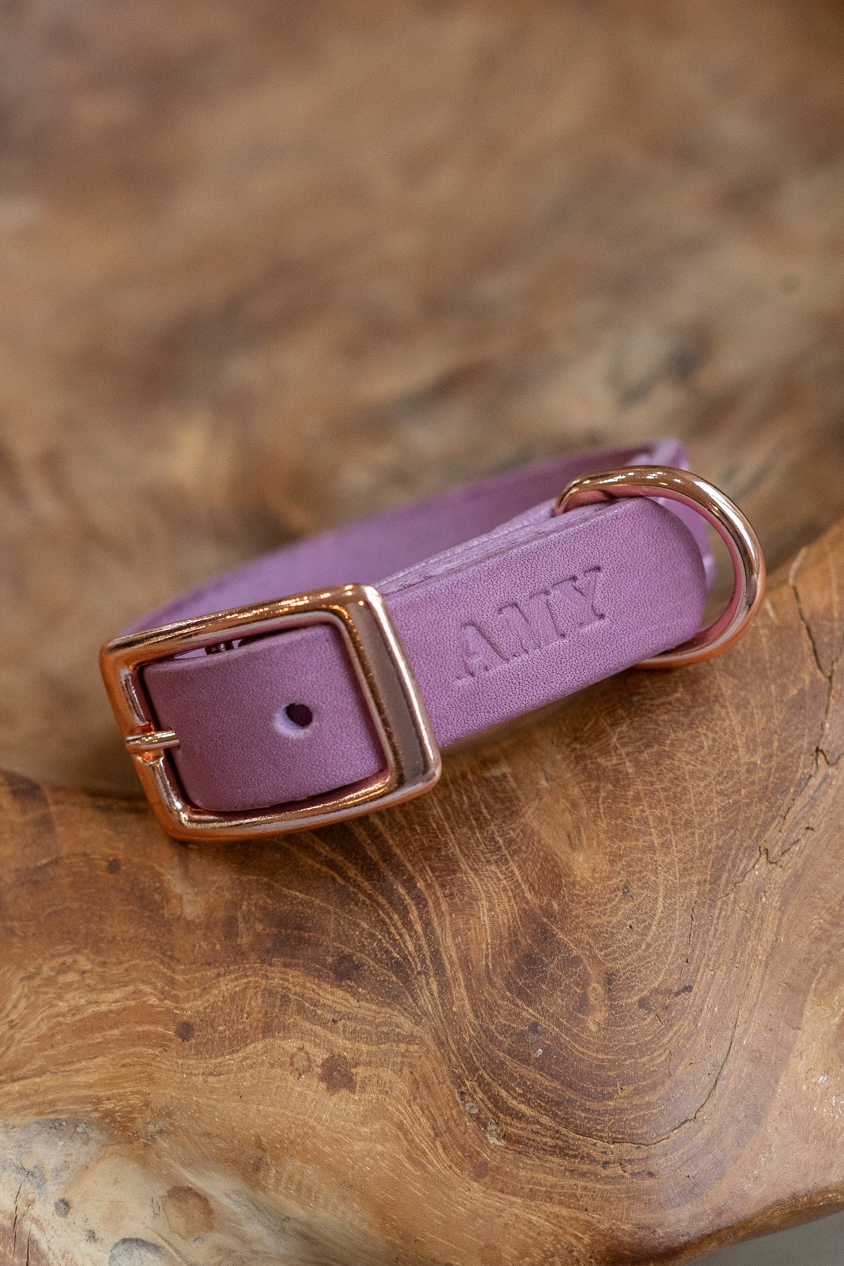 Fettleder Hundehalsband