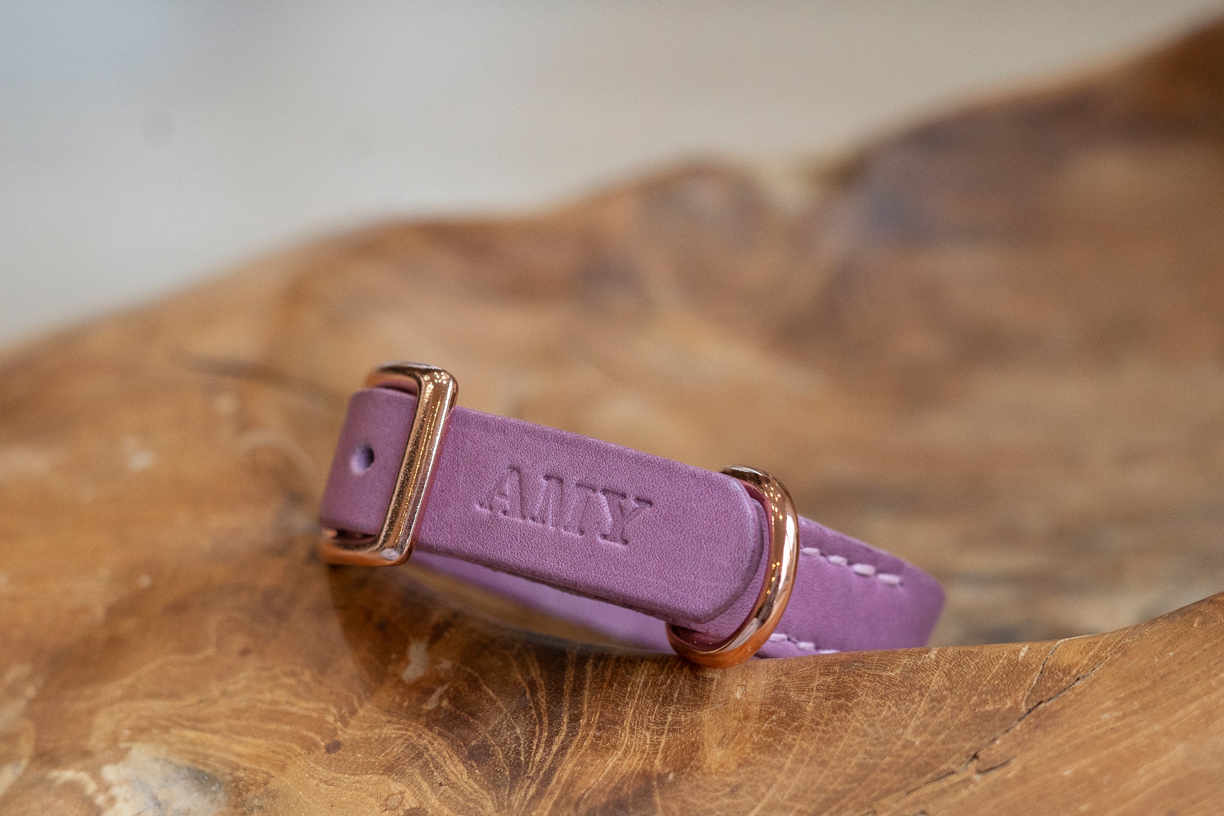 Fettleder Hundehalsband