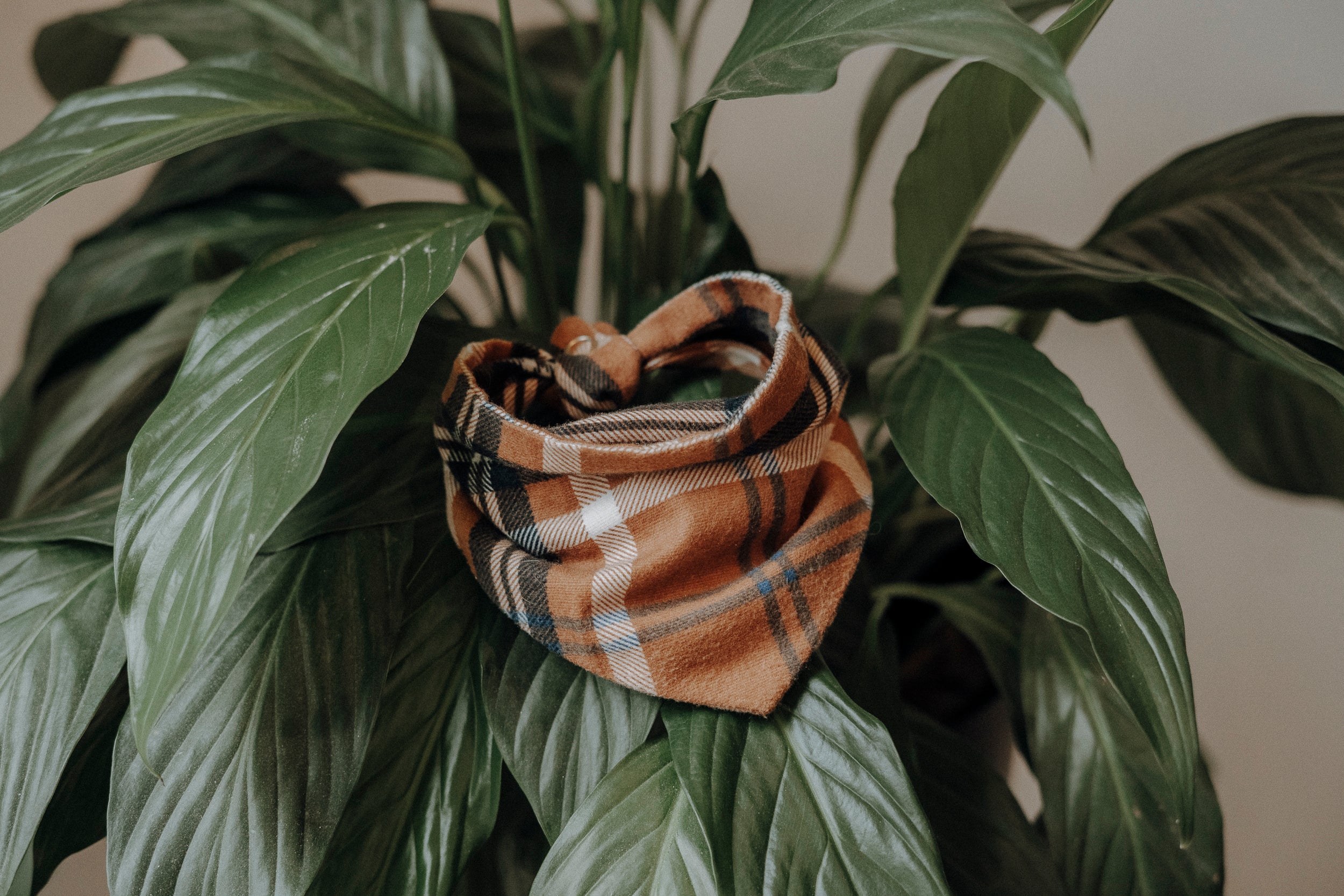 Hundehalstuch „Flanell“