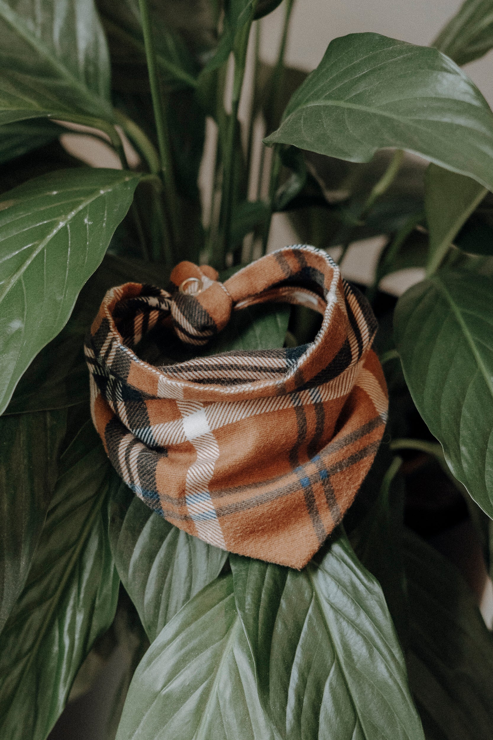 Hundehalstuch „Flanell“