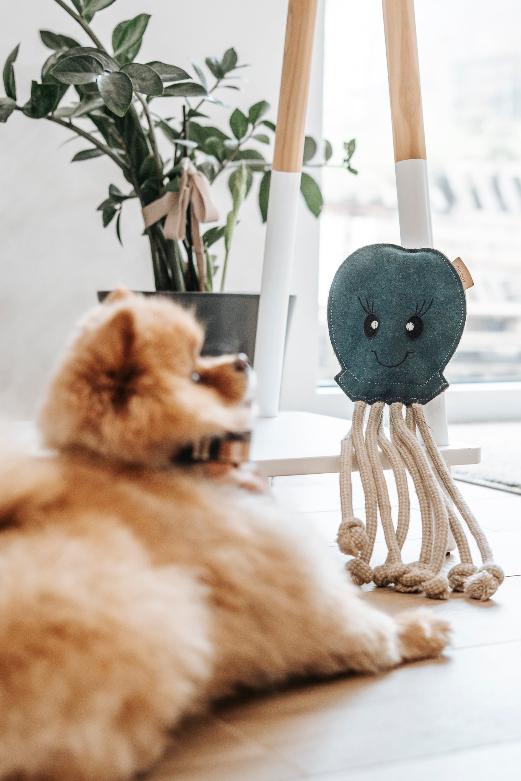 BUDDY. Hundespielzeug aus Leder "Krake"