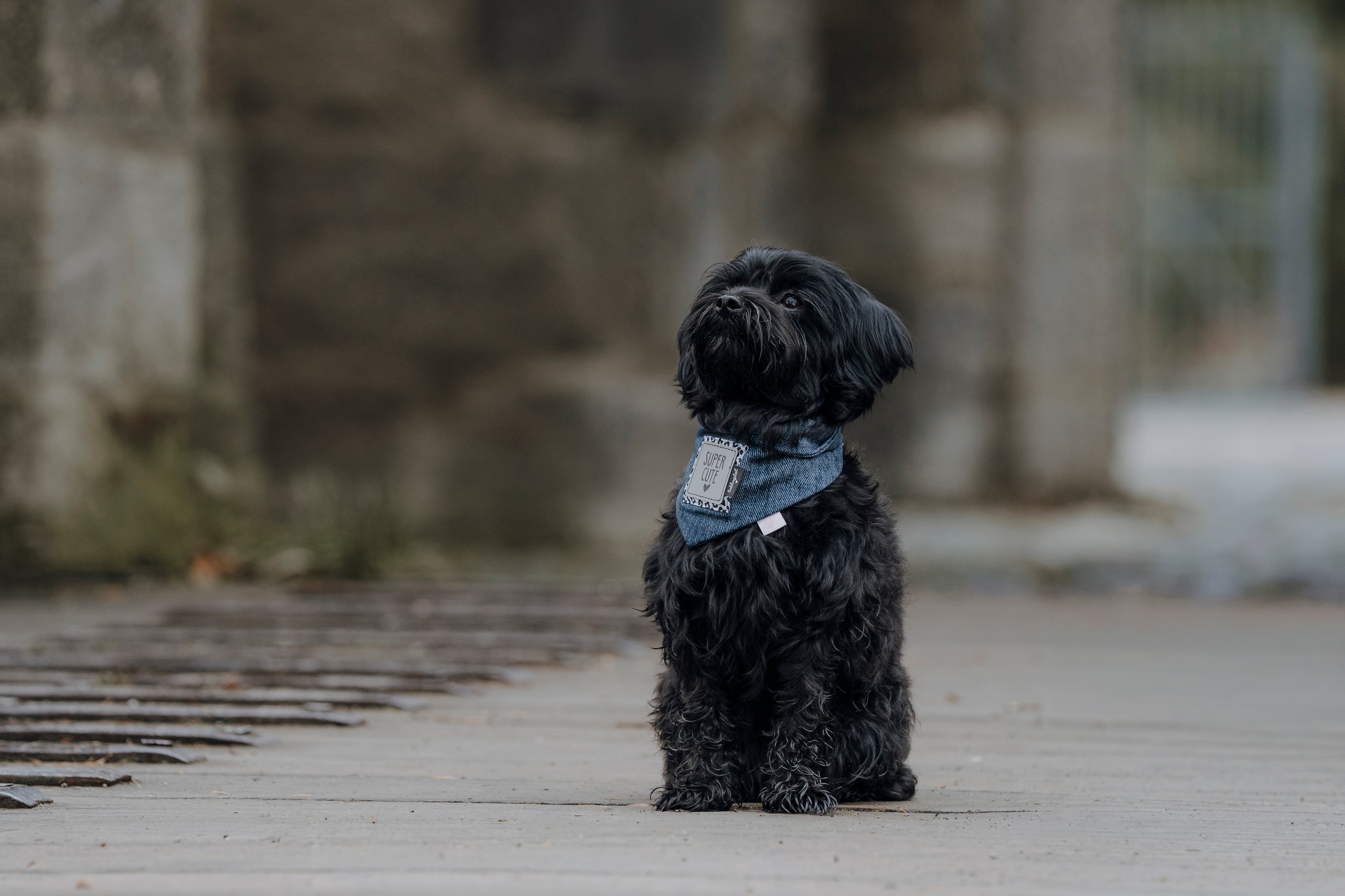 Halstuch "Create your Cutie" Denim