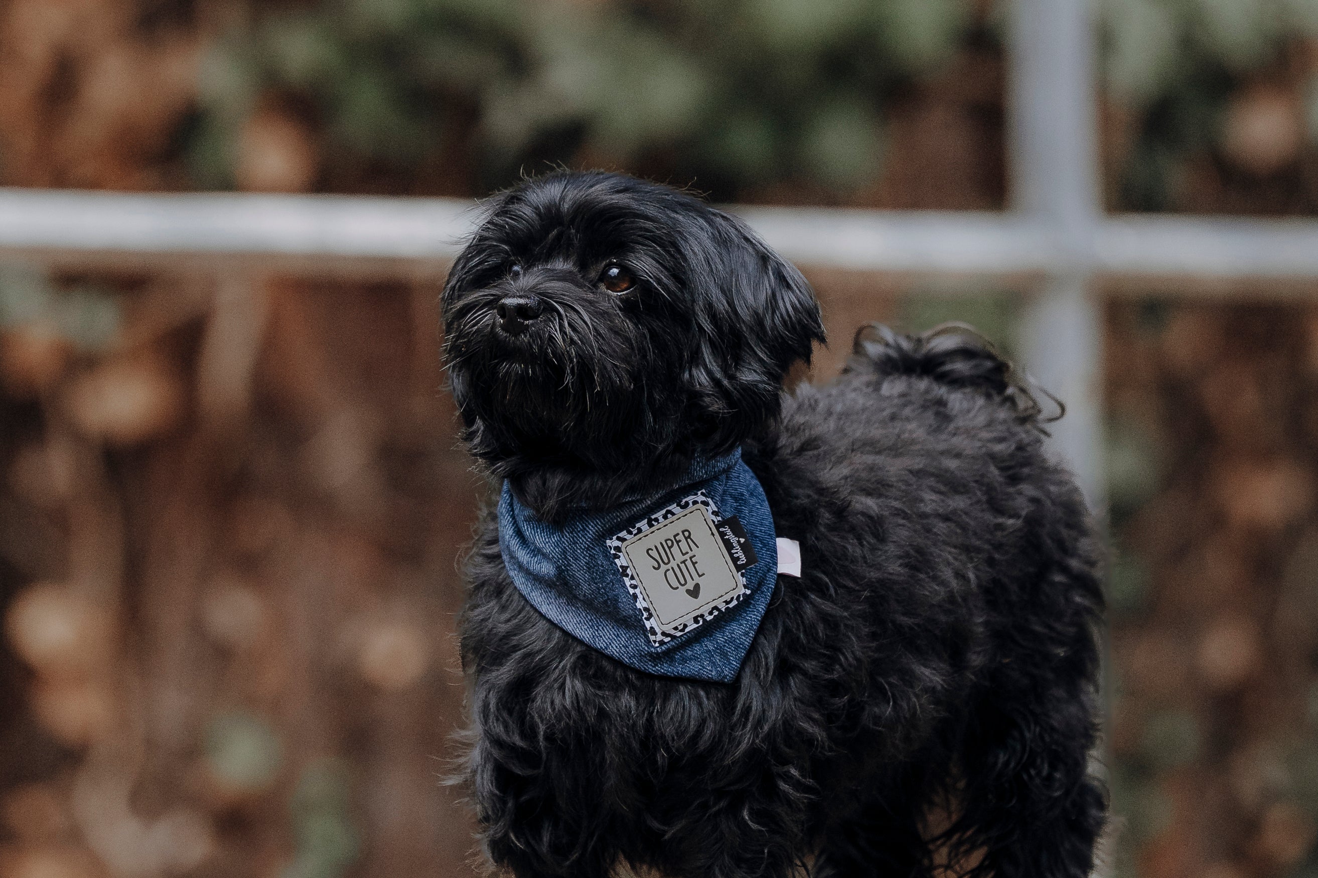 Halstuch "Create your Cutie" Denim