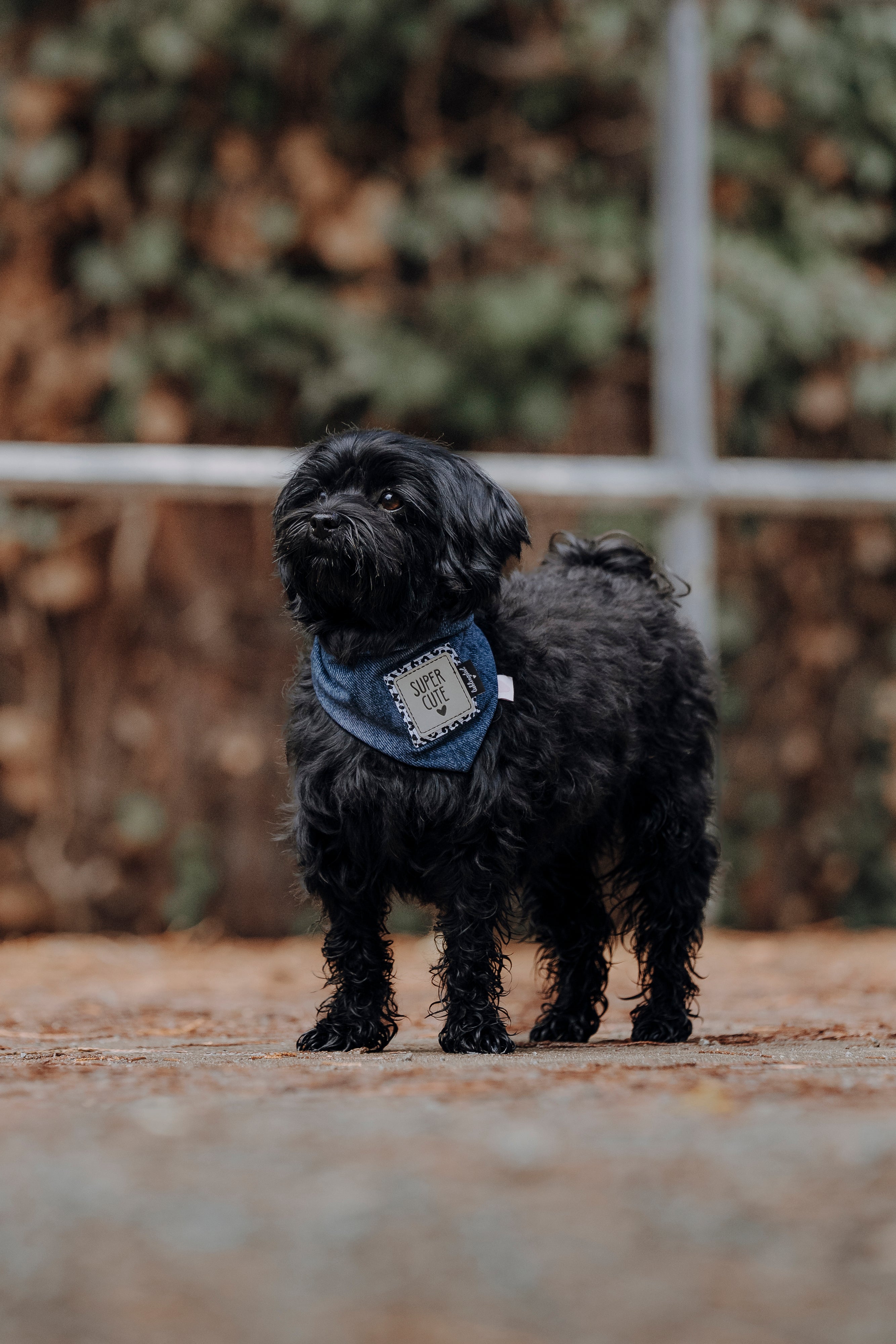 Halstuch "Create your Cutie" Denim